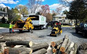 Best Stump Grinding and Removal  in Helemano, HI